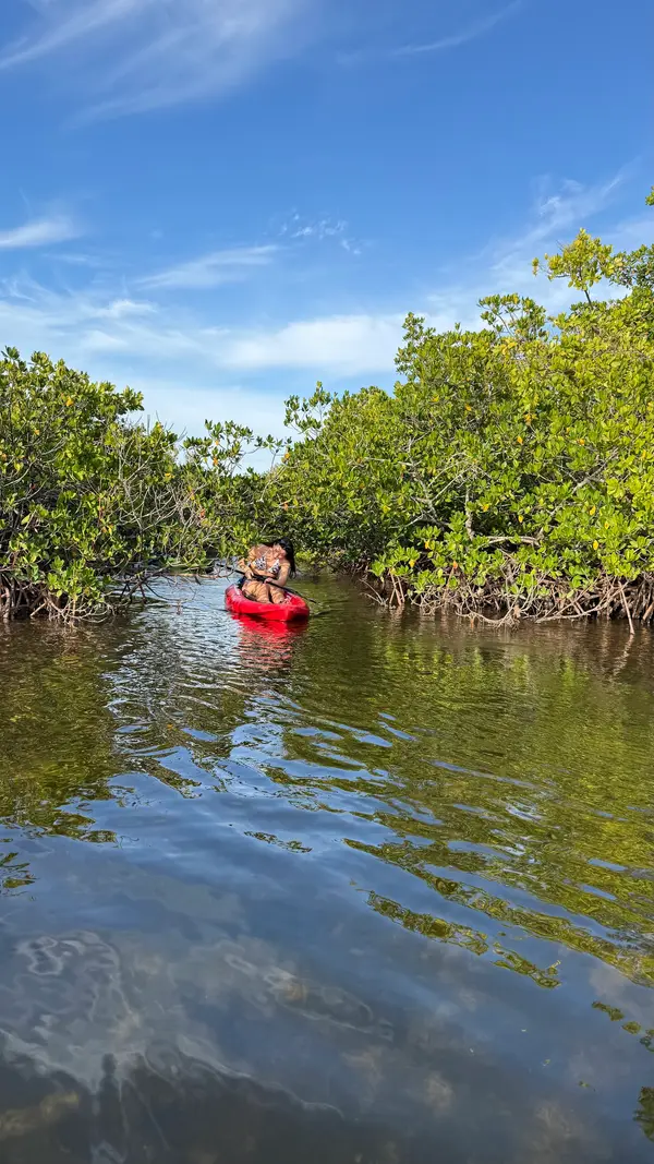River Wild Kayaking, photo 2