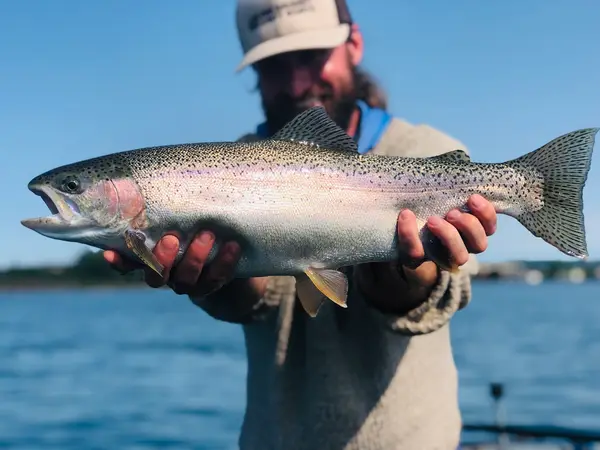 Riversnorth Fly Fishing Guide Service