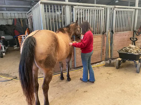 RNR Stables, photo 2
