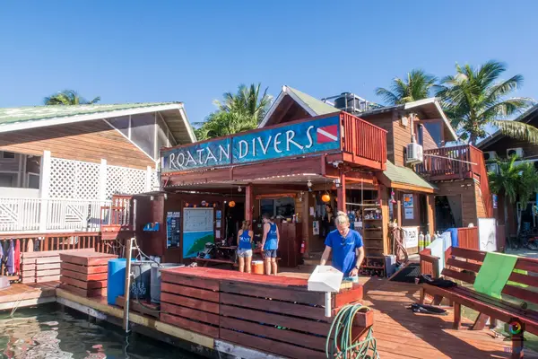 Roatan Divers