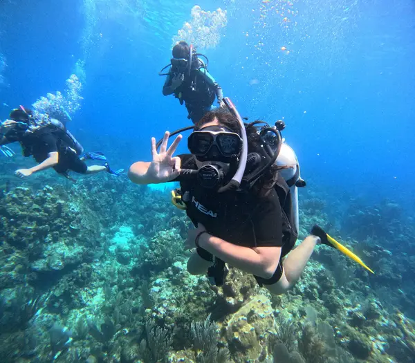 Roatan Ocean Divers