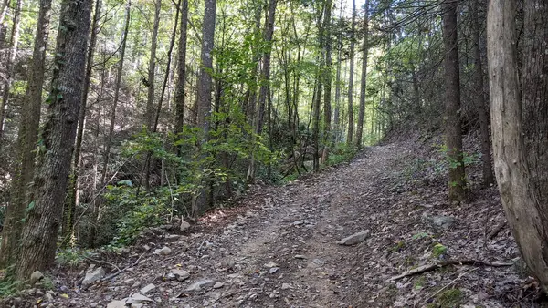 Rock Creek and Tatum Lead OHV