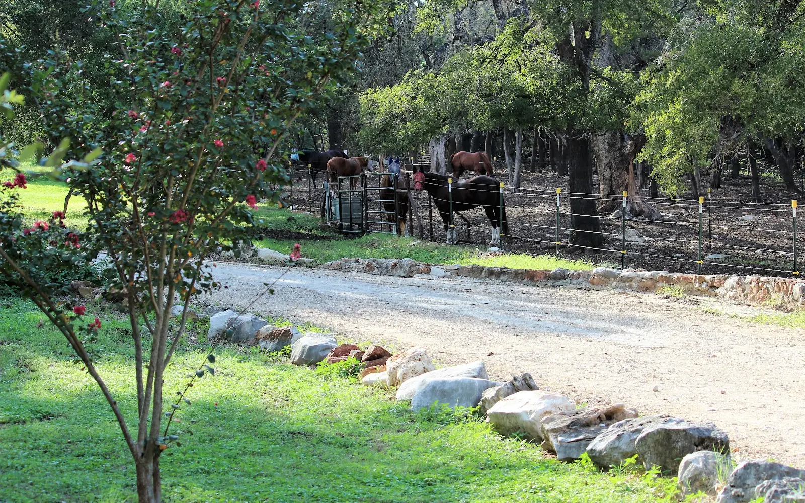 Rock-N-Oaks Stables