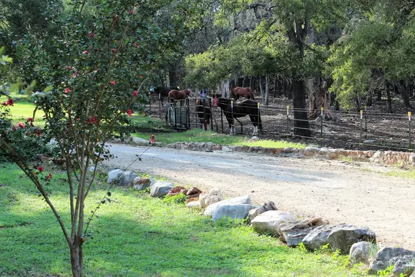 Rock-N-Oaks Stables