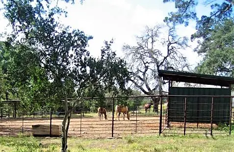 Rock-N-Oaks Stables, photo 3