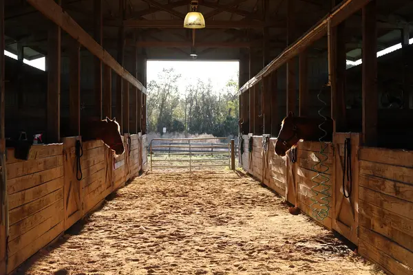 Rock Springs Guest Ranch