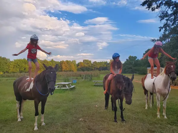 Rockin' K Ranch