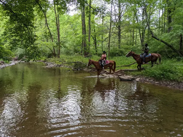 Rocking S Ranch, LLC