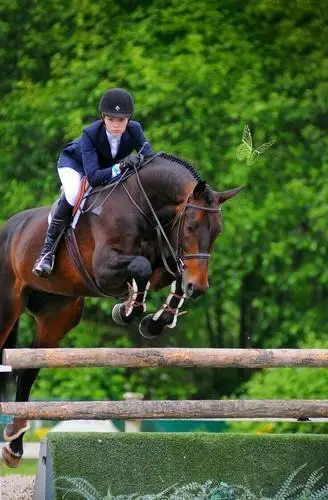 Rockmeadow Equestrian Center