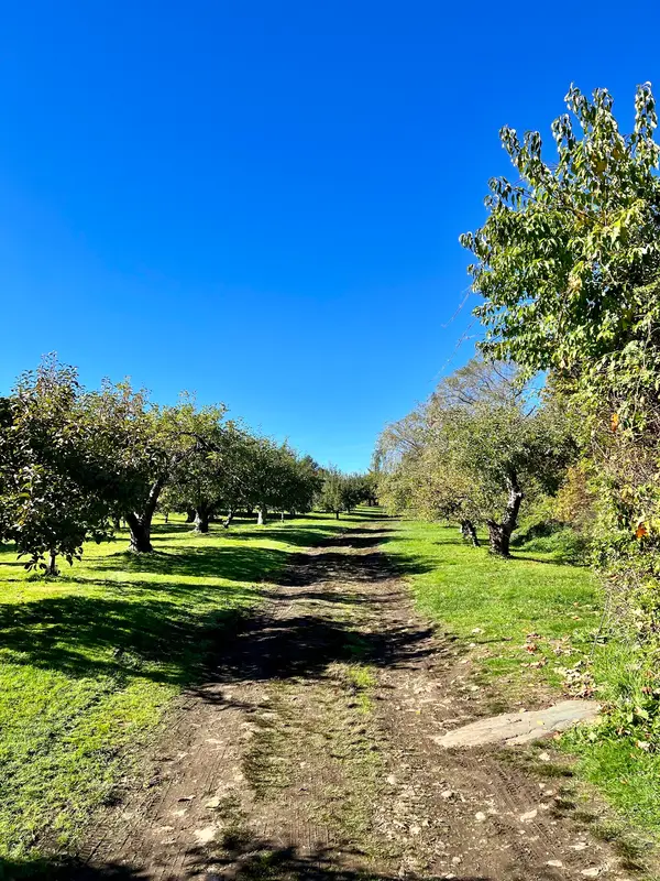 Rocky Brook Orchard, Middletown, RI
