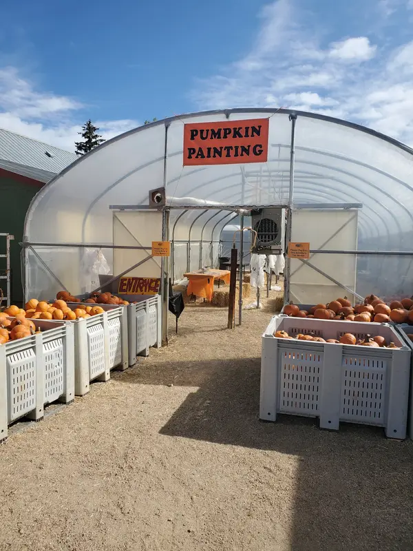 Rocky Mountain Pumpkin Ranch, Longmont, CO