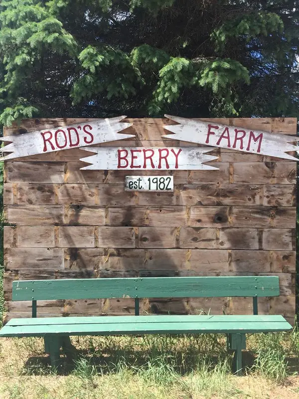 Rod's Berry Farm, North Branch, MN