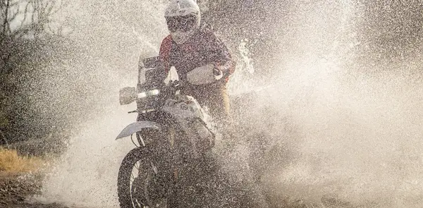 Rogue Moto