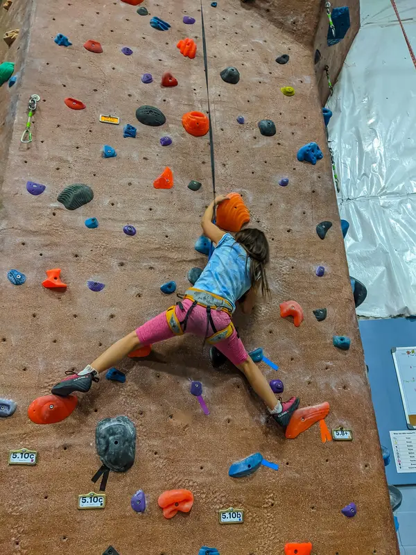 Rogue Rock Gym