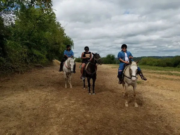 Rolling Hills Ranch