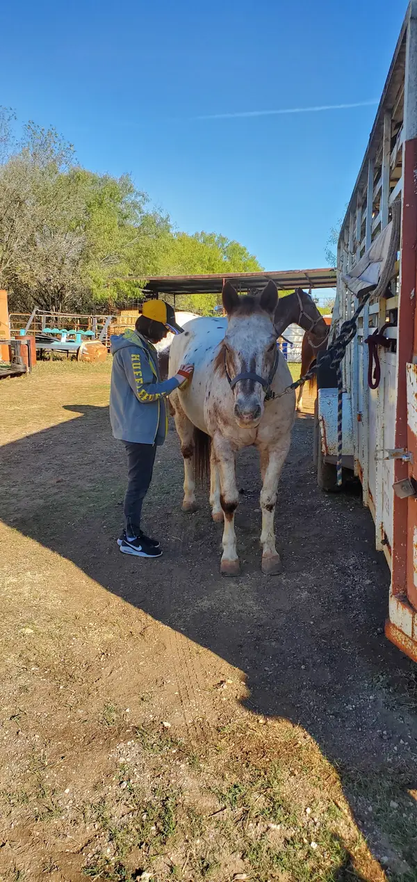 ROPER Riding Opportunities Promoting Exceptional Riders, photo 2