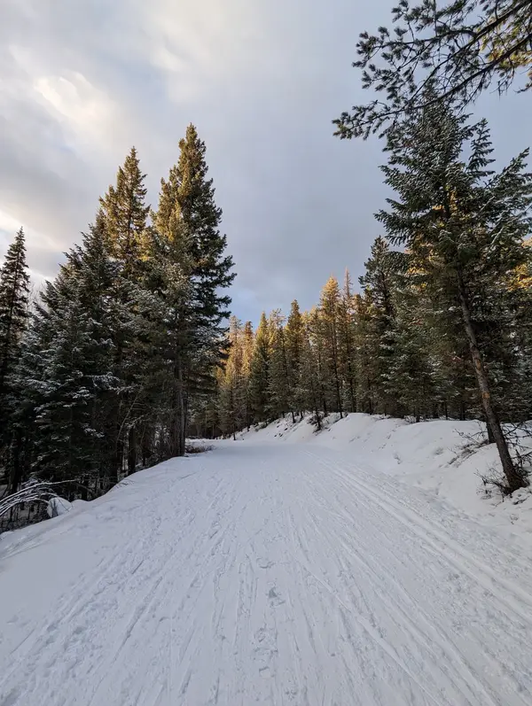 Round Meadows X-C Ski Area Nordic