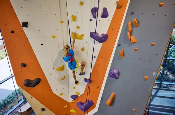 ROX Climbing Gym at LNPC