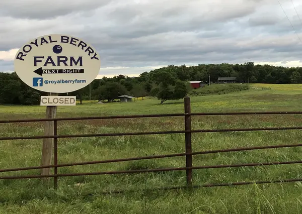 Royal Berry Farm, Royal, AR