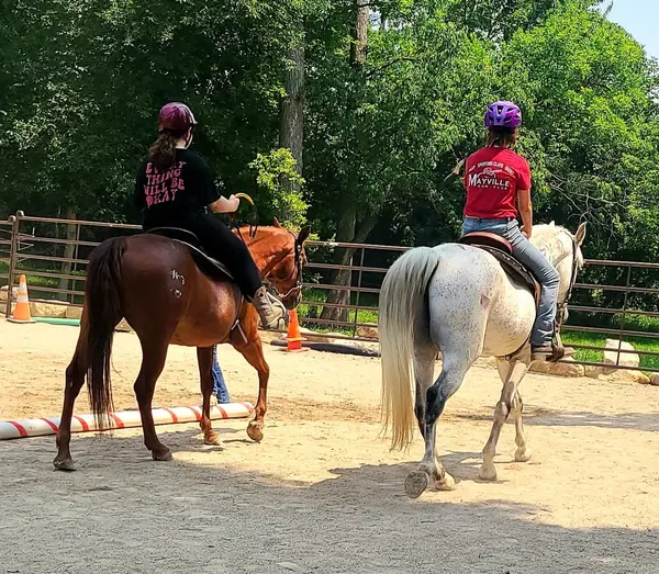 Royal Rock Farm