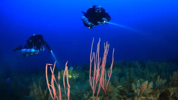 Rubicón Diving Lanzarote