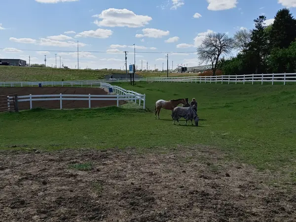 Rugged Cross Stables