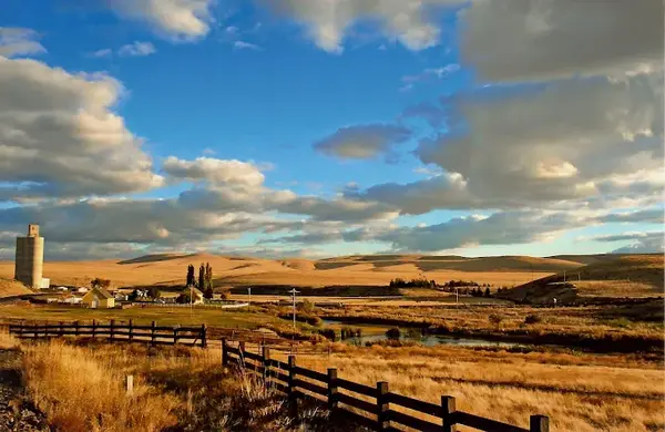 Ruggs Ranch