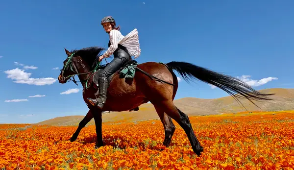 Running Horse Ranch, photo 4