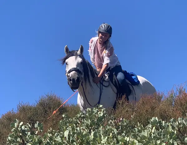 Running Horse Ranch, photo 1
