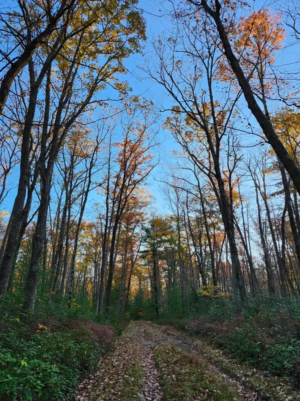 Rupp Hollow 4-wheel drive trail