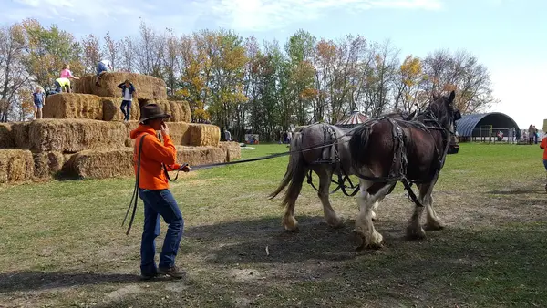 Rusty K Ranch