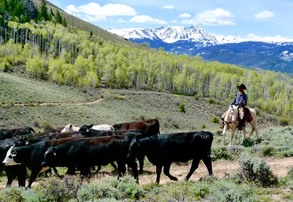 Rusty Spurr Ranch
