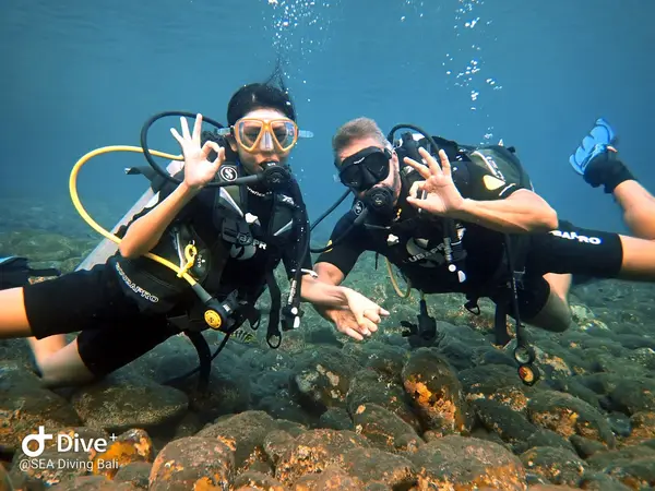 S.E.A. Diving Bali