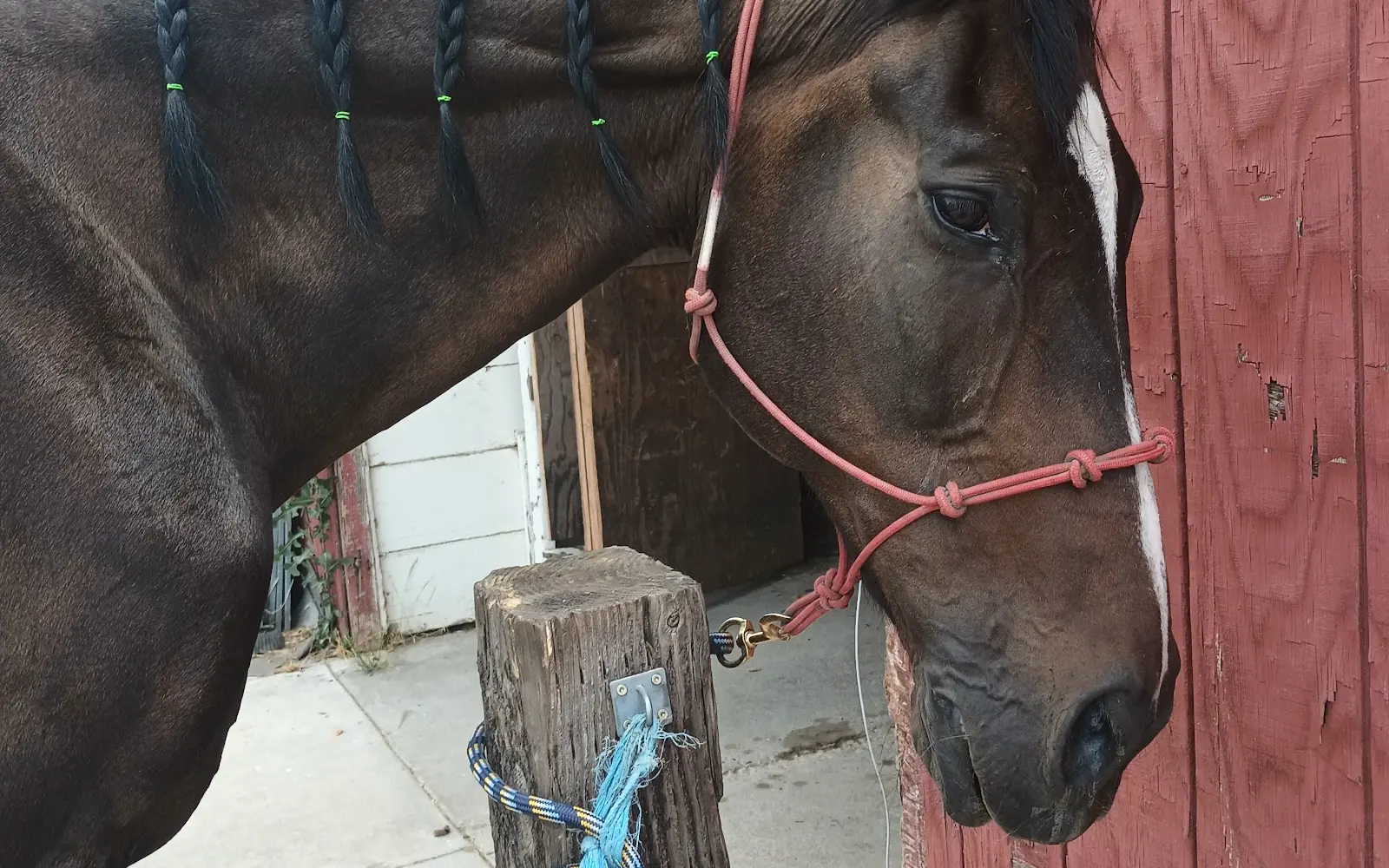Sacramento's Craigmont Equestrian Center
