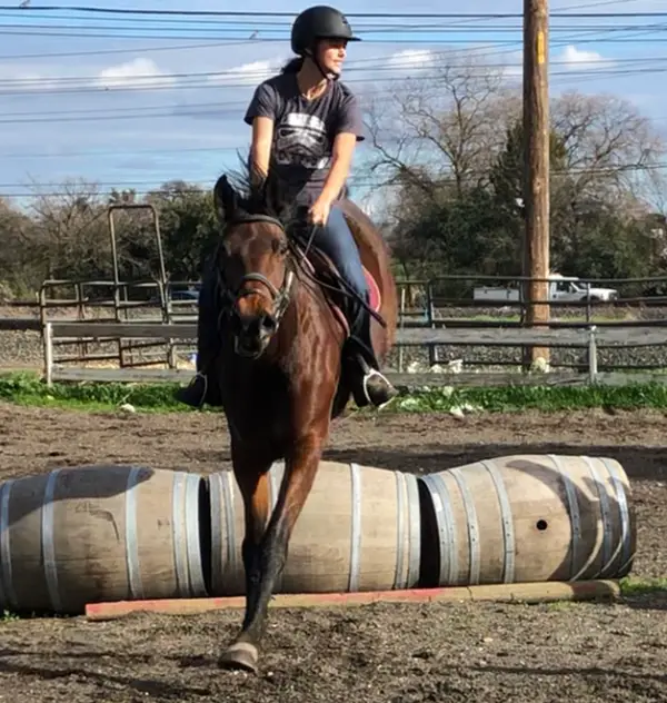 Sacramento's Craigmont Equestrian Center, photo 1