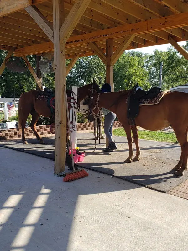 Saddle Creek Stables