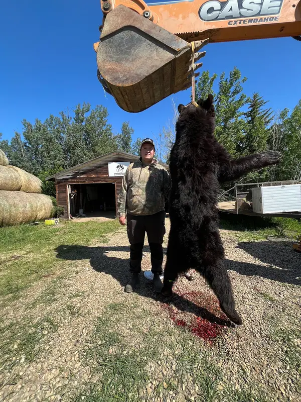Saddle Hills Outfitting Ltd., photo 1