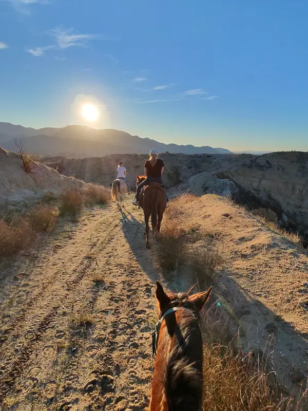 Saddle Up Wine Tours