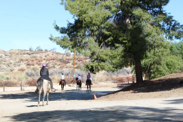 Saddle Up Wine Tours, photo 1