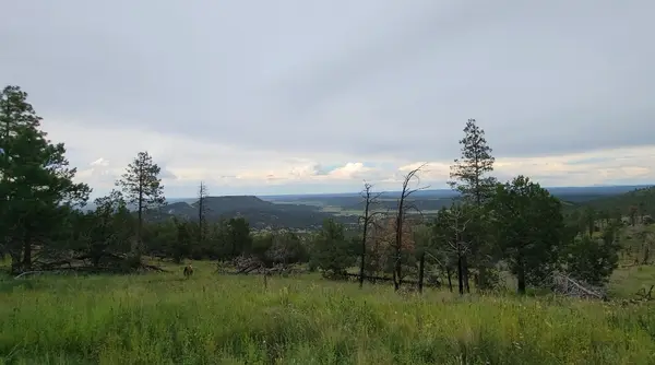 Saffel Canyon ATV Trail, Apache County, Arizona