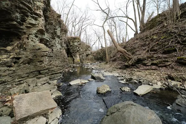 Sagawau Environmental Learning Center