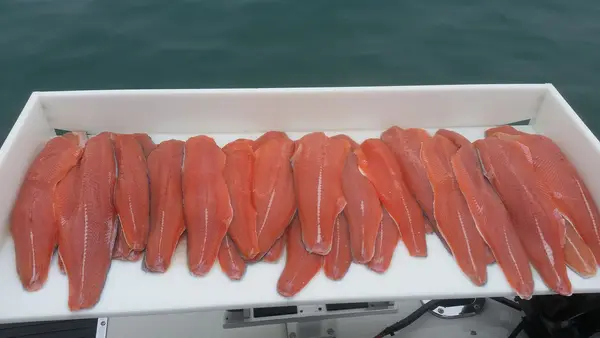 Salmon Chaser Charters