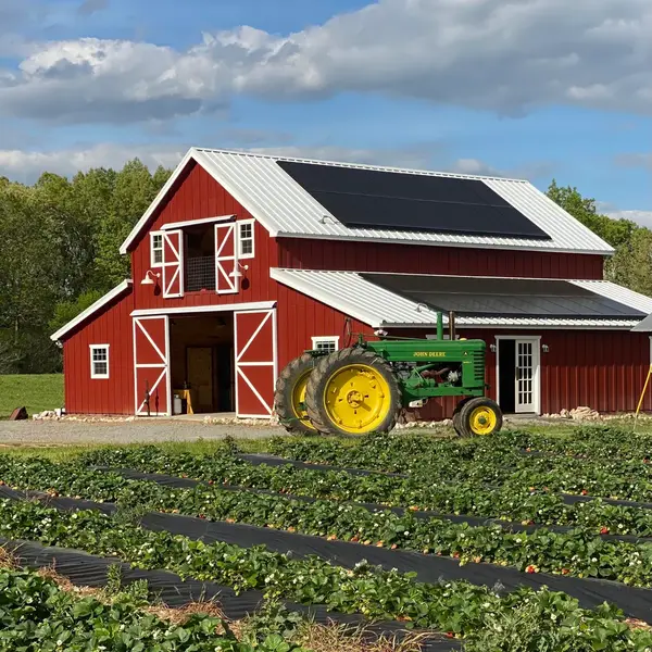 Salt Box Farm, Benton, AR