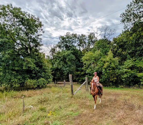 Salt Creek Ranch~Equine Adventure, Lyndon, KS