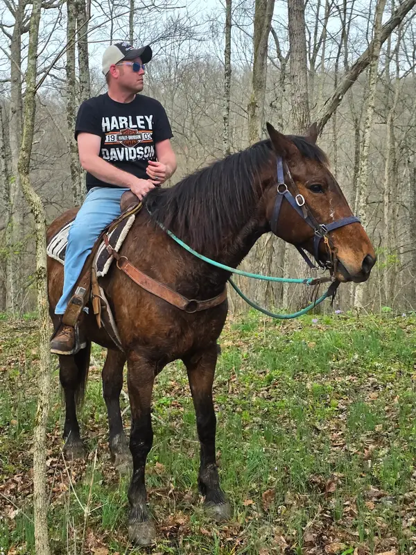 Salt Creek Ranch