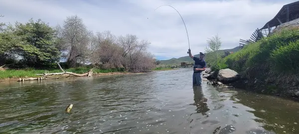 Salt Lake Fly Fishing Company, Snowbird, UT