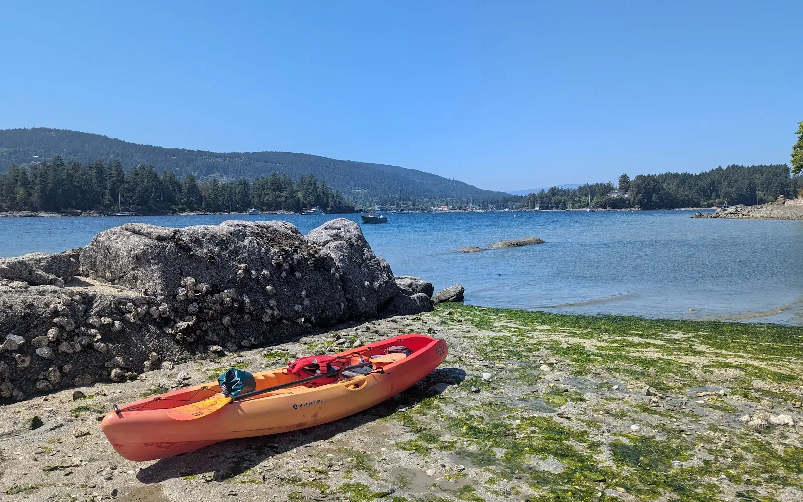 Salt Spring Adventure Co.