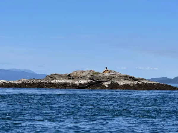 Salt Spring Adventure Co., photo 3