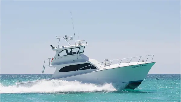 Saltwater Assassins Charter Fishing