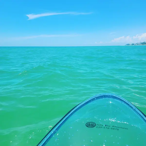 Salty Blue Adventures, photo 1